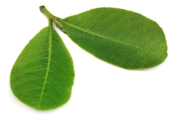 Cardiol contains arjuna leaf extract